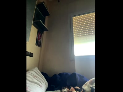 YasarArab69