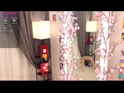 SugarNyaa