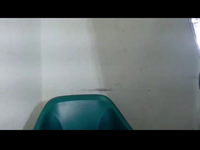 Sugarxpussy
