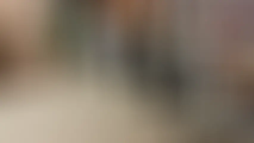 Preview of Elissecinamon