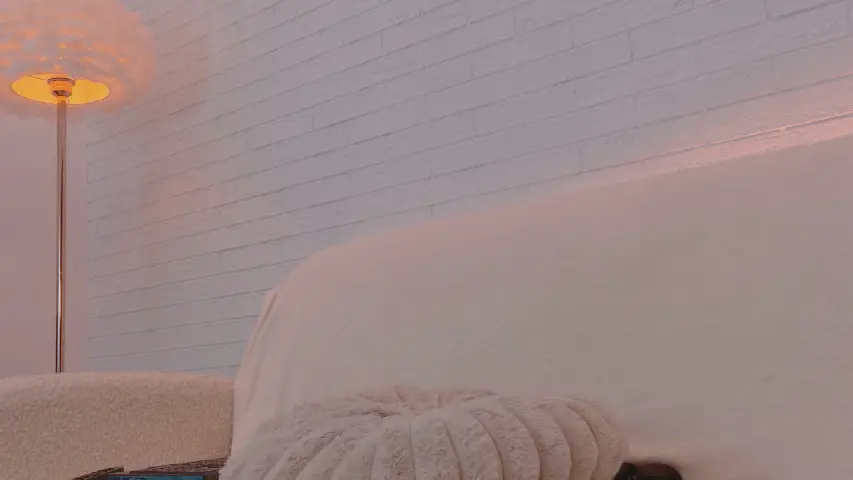 Preview of VikaFever