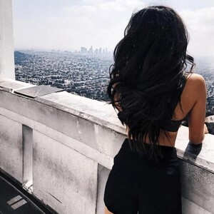 Lola_Fox282 avatar