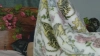 Capture at 2025-10-11 21:46:42