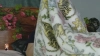 Capture at 2025-10-11 21:47:22