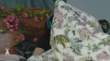 Capture at 2025-10-11 22:18:33