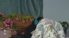 Capture at 2025-10-11 22:54:08