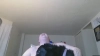 AJthePunk420 @AJthePunk420 webcam capture — Little in the middle, Always Different hair, Blue eyes, Caucasian, 40 yrs, Bisexual — tags: Tomboy, Unique, 420, Sweet, Squirt, Shaved, Punk, Rock, Tattoos, Mohawk, Nice smile, Talkative, Pansexual, Kind, Chill, easy going, Smart, Nerd, Comics, Call Of Duty, Xbox, Partially nude, topless, Gamer, Sings, Music, Juggling, Smoker