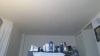 AJthePunk420 @AJthePunk420 webcam capture — Little in the middle, Always Different hair, Blue eyes, Caucasian, 40 yrs, Bisexual — tags: Tomboy, Unique, 420, Sweet, Squirt, Shaved, Punk, Rock, Tattoos, Mohawk, Nice smile, Talkative, Pansexual, Kind, Chill, easy going, Smart, Nerd, Comics, Call Of Duty, Xbox, Partially nude, topless, Gamer, Sings, Music, Juggling, Smoker