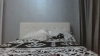 Capture at 2025-10-13 16:01:11
