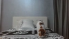 Capture at 2025-10-13 17:38:49