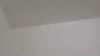Capture at 2025-10-11 05:15:42