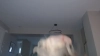 Capture at 2025-10-12 23:48:07