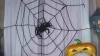 Capture at 2025-10-25 04:54:22