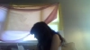Capture at 2025-10-16 15:04:28