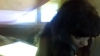 Capture at 2025-10-16 19:26:40