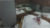Capture at 2025-10-12 02:39:08