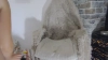 Capture at 2025-10-12 20:33:19