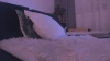 Capture at 2025-10-13 23:32:07