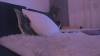Capture at 2025-10-13 23:43:36