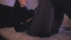 Alluring_ @Alluring_ webcam capture — Athletic, Brown hair, Hazel eyes, 91 yrs, Bisexual — tags: natural, naughty, smile, skinny, longhair, fun, dance, wet, skype, teen, footfetish, lovense, domi, girlnextdoor, roleplay, stockings, seductive, cumshow, teasing, private, tattoos, longlegs, oilshow, princess, dirtytalk, european, daddysgirl, tanlines, shaved, brunette, blonde, bisexual