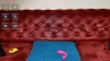 Alyyhotevill @Alyyhotevill webcam capture — Slim/Petite, Blonde hair, Blue eyes, 27 yrs, Bi-curious — tags: Squirt, anal, blonde, lovense, dildo, daddy, cum, smile, natural, sexy, hot, young, cute, funny, horny, toys, smart, pussy, lush, big ass, teen, wet, curvy, natural tits, fingering, ass, new, innocent, fetish, masturbation, 18, beautiful