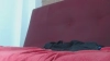 Capture at 2025-10-15 01:36:50