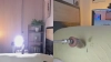 Capture at 2025-10-14 00:17:19