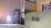 Capture at 2025-10-14 00:19:28