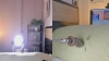 Capture at 2025-10-14 00:21:46