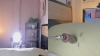 Capture at 2025-10-14 00:28:08