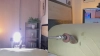 Capture at 2025-10-14 01:10:56