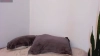 Capture at 2025-10-15 20:45:22