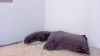 Capture at 2025-10-15 21:33:48