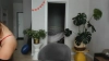 Capture at 2025-10-12 03:44:22