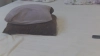 Capture at 2025-10-15 06:05:29