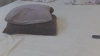 Capture at 2025-10-15 06:10:42