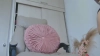 Capture at 2025-10-15 14:26:12