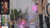 Capture at 2025-10-20 21:55:56