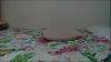 Capture at 2025-10-15 01:31:37