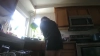 Capture at 2025-10-15 18:22:43
