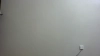 AsianDoll2000 @AsianDoll2000 webcam capture — Brown eyes, Asian, 24 yrs, Straight — tags: asian, bimbo, slut, whore, sexy, big ass, anal, stupid, dumb, clueless, stripper, dance, strip, young, cute, teen, strip dance, brunette