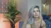 Avril_Cyrus @Avril_Cyrus webcam capture — Slim/Petite, Blonde hair, Brown eyes, Caucasian, 32 yrs, Bisexual — tags: sexy, young, sweet, cute, hot, natural, shaved, funny, horny, pussy, friendly, toys, ass, new, beautiful, naughty, naughty, smart, tight, open mind, smile, nice ass, skype, petite, wet, fashion, dildo, feet, bisexual, femdom, tits, domination