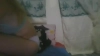 Capture at 2025-10-21 03:47:28
