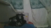 Capture at 2025-10-21 03:49:16