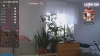 Capture at 2025-10-16 11:34:05