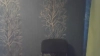 Capture at 2025-10-15 11:33:10