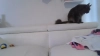 Capture at 2025-10-14 21:37:10