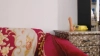 Busty_Steffy @Busty_Steffy webcam capture — Little in the middle, Black hair, Hazel eyes, 115 yrs, Bi-curious — tags: bbw, friendly, brunette, big boobs, shaved, nice smile, busty, curvy, thick, romanian, toys, hazel eyes, smart, natural tits, long hair, videos, tease, sensual lips