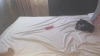 Capture at 2025-10-15 20:06:14