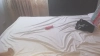 Capture at 2025-10-15 20:14:38